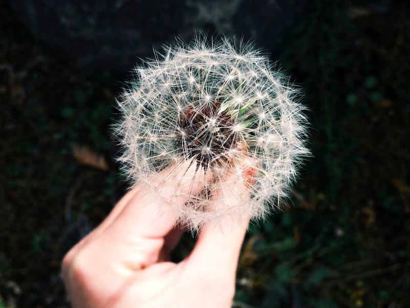 Cloud data center and server infrastructure