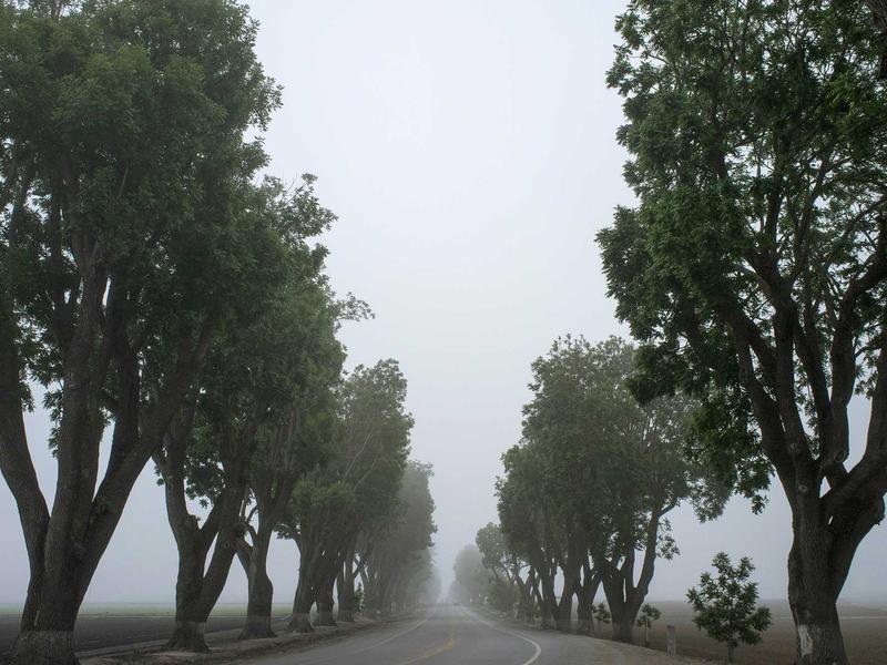 Team collaboration and video conferencing in modern workplace