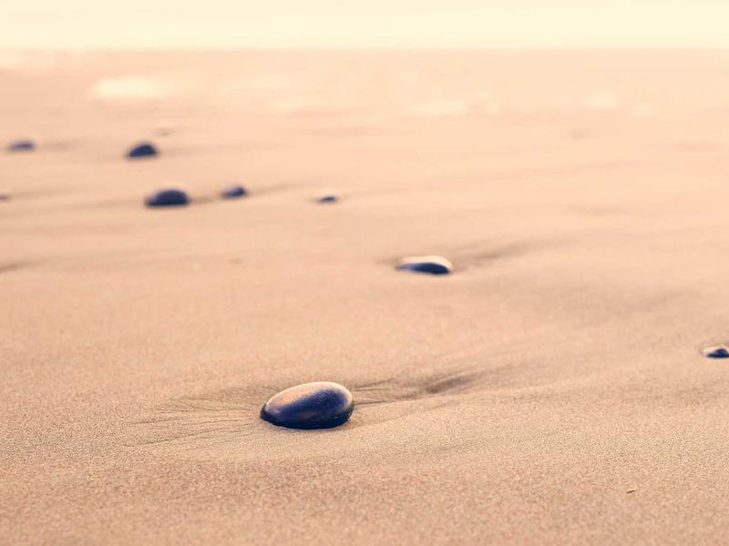 Network operations center monitoring and IT management