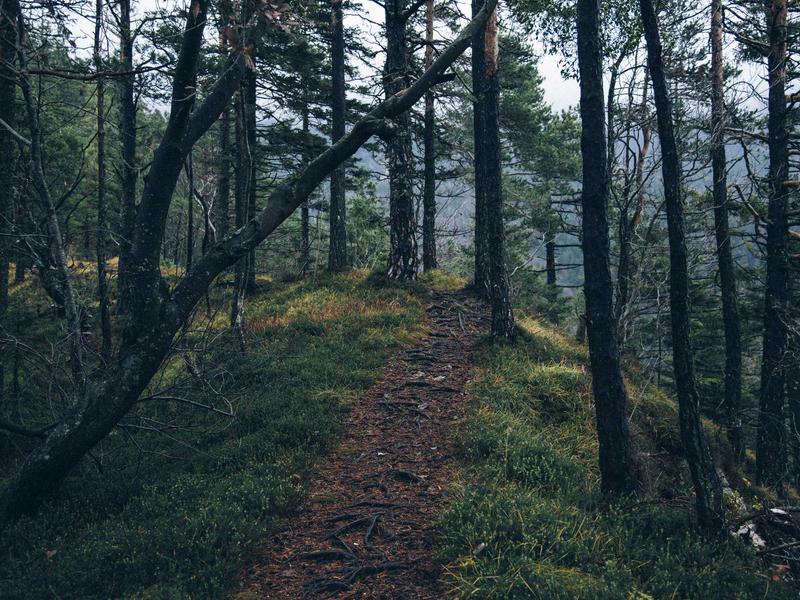 Automation and AI transforming business operations